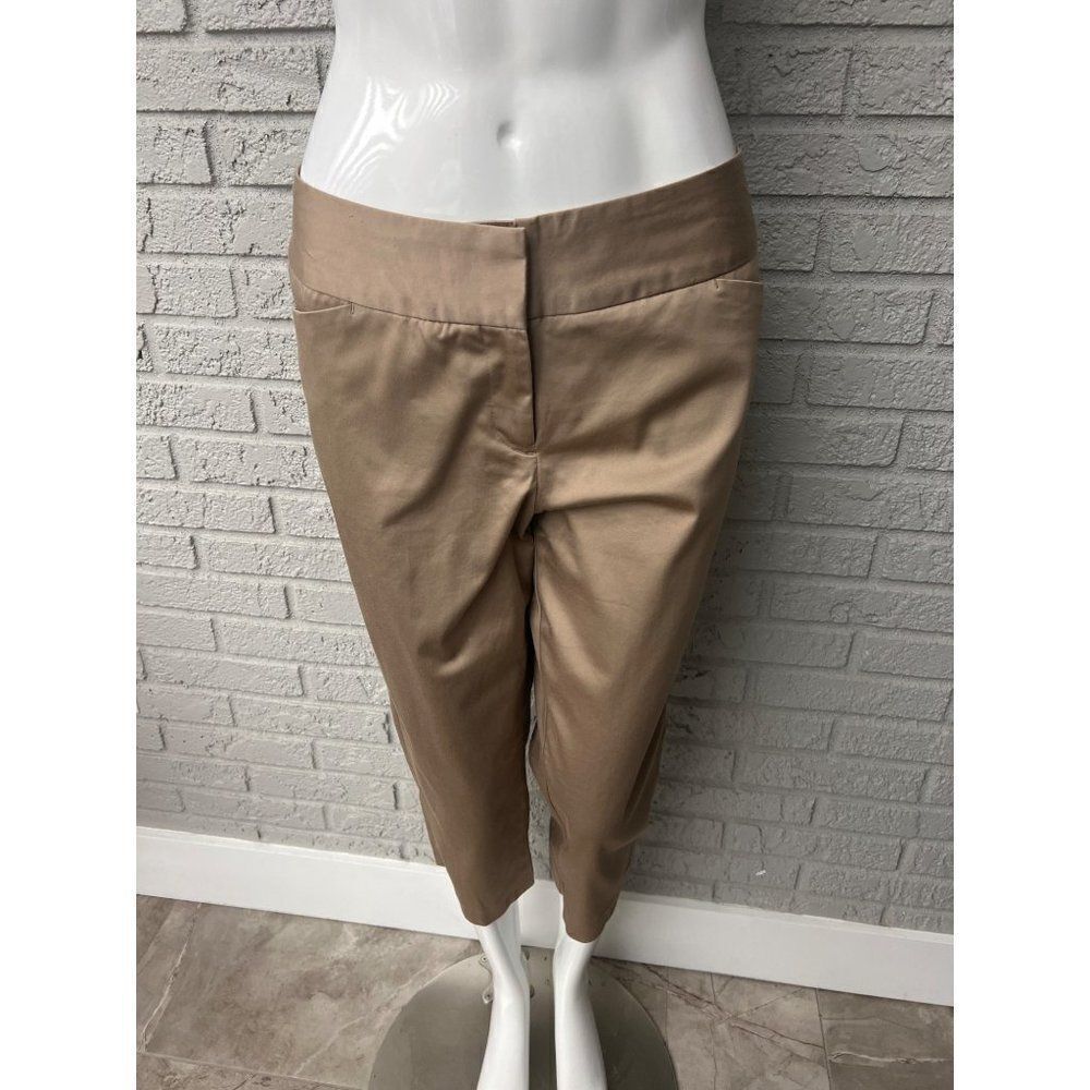 Worthington Modern Fit Flat Front Cropped Pant Size 10